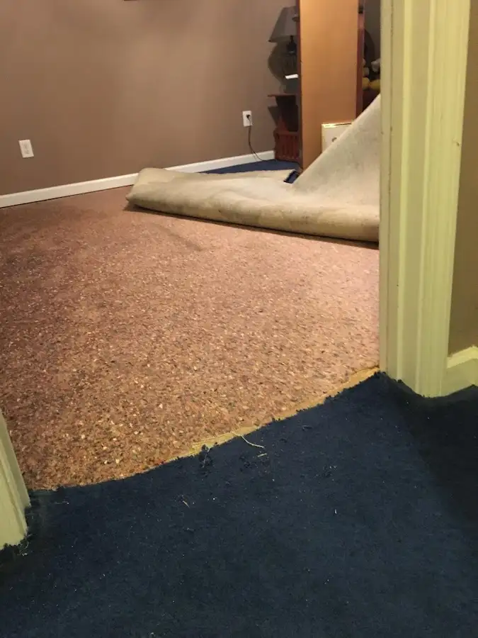 Carpet pad removal revealing water damage during Drying & Dehumidification in Ocean Shores