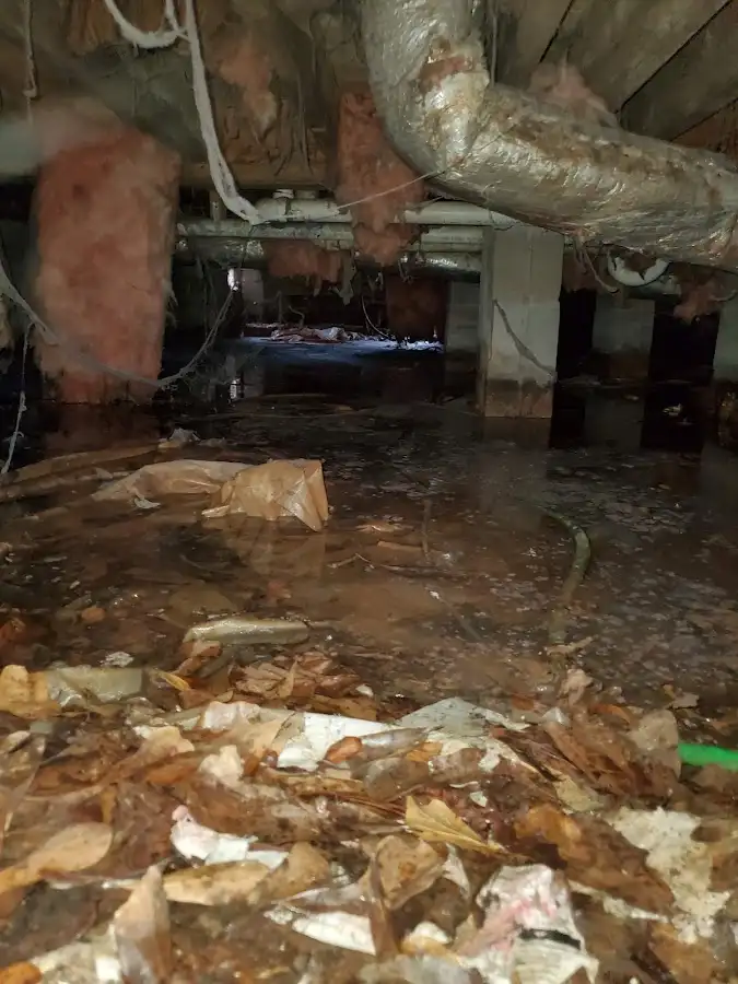 Crawl space flood assessment for Leak Detection & Repair in Ocean Shores